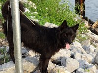 DSC01435