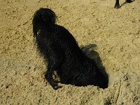 IMG 0453