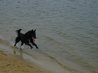 IMG 0536