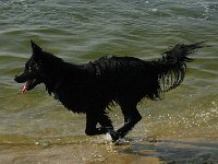 IMG 0670