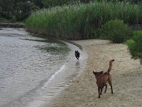 IMG 0908