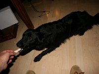 IMG 1131