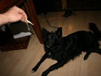 IMG 1133
