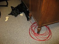 IMG 1389