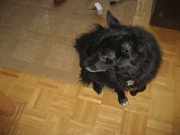 IMG 1496