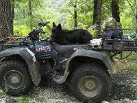 IMG 1579