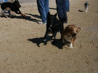 IMG 1582