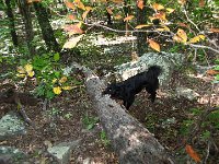 IMG 2248-large