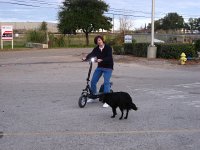 IMG 3363