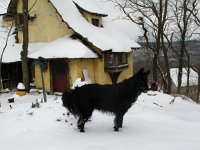 IMG 3580