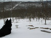 IMG 3600
