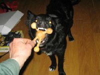 IMG 4695