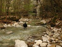 IMG 4702