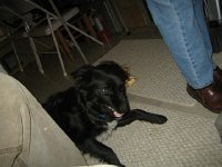 IMG 4816
