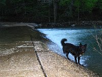 IMG 5294