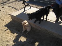 IMG 5471