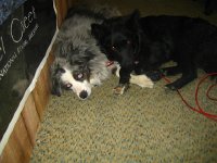 IMG 5796