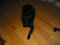 IMG 6168