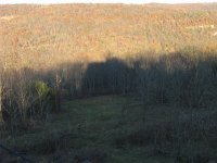 IMG 7080