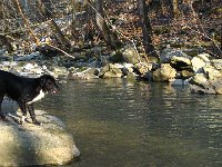 IMG 8825