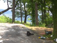 IMG 8854