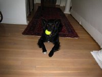IMG 9389