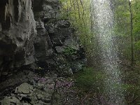 P1100496
